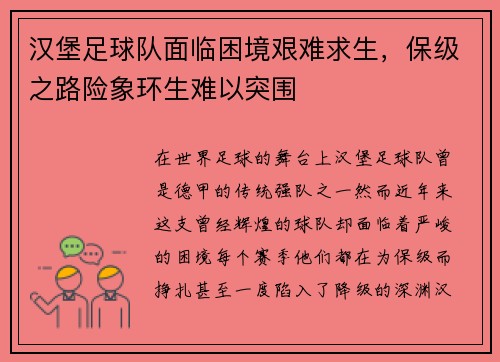 汉堡足球队面临困境艰难求生，保级之路险象环生难以突围